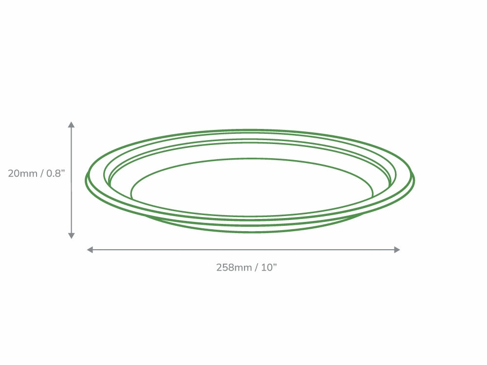 10" Bagasse Moulded Fibre Round Plate